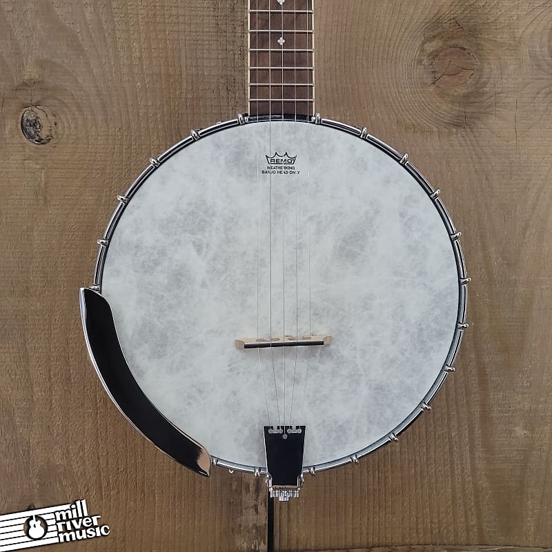 Fender P-180e 5 String Banjo w/ Pickup & Bag Used