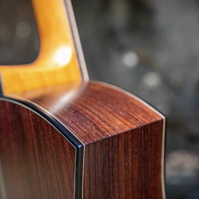 Salz Guitars PS 2023 - Swiss moon spruce & Indian rosewood image 6