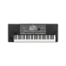 61-Key Arranger Keyboard w/ Quarter Tone