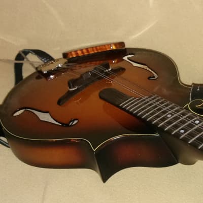 Furch MF 22SF mandolin with K&K pickup and hard shell case image 3