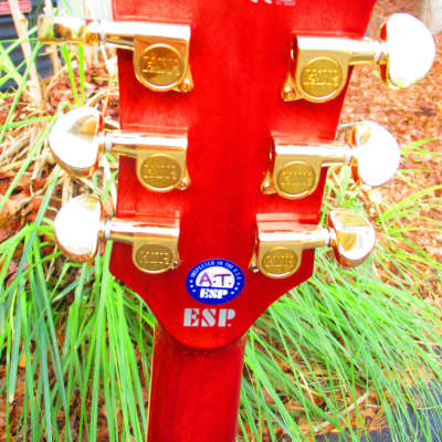 ESP LTD XAC20E  Acoustic/Electric Guitar~2011~Fuchsia~Magenta~Amazing~w/Gig Bag~Tiger Eye~XTone image 7