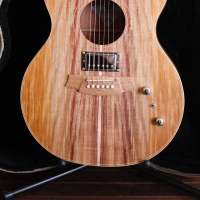 Cole Clark AN2EC Blackwood/Blackwood Humbucker Dual-Output Guitar for sale