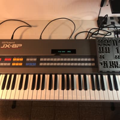 Roland JX-8P Analog Synthesizer with PG-800
