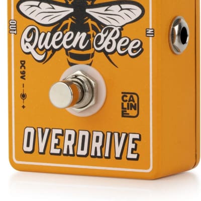 Caline CP-503 Queen Bee Overdrive Player Favorite  Fast US Ship image 2