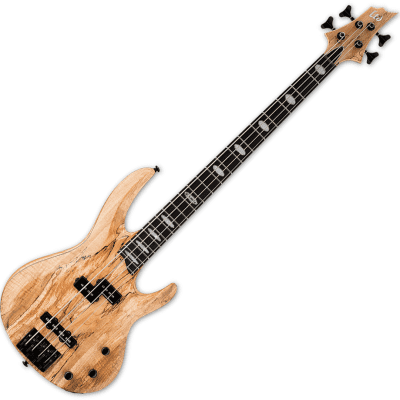 ESP LTD RB-1004SM | Reverb