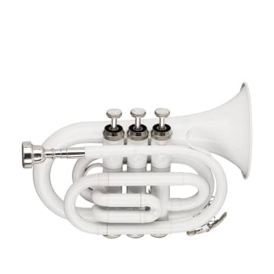 Stagg Bb Pocket Trumpet with Brass Body - White - WS-TR249S image 4