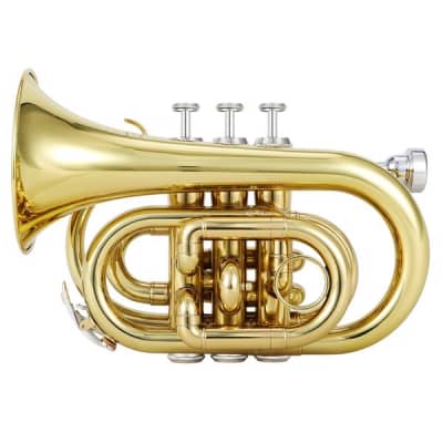 Standard Pocket Trumpet Bb Full Kit With Case & Accessories Bundle image 4
