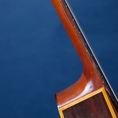 Giannini Craviola AWKNS6 / Nylon String and Bossa Ready! image 12