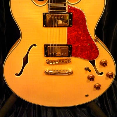 KARERA 335-Style Semi-Hollow Body Electric Guitar *BEAUTIFUL with WARM-TONE & *FREE Hard-Shell Case!!! image 12
