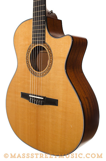 2010 Taylor NS34ce Acoustic