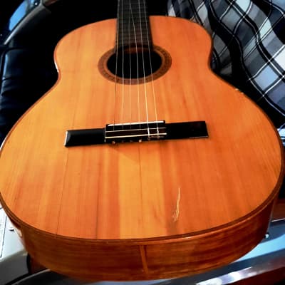 GIANNINI GN-60 CLASSICAL-FOLK 1960’s-NATURAL WOODS, NEEDS TLC AND EXPERT LUTHIER'S HANDS image 23