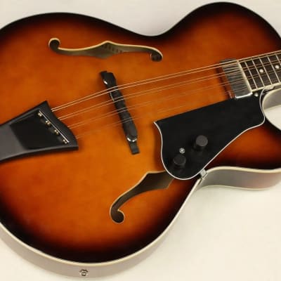 Gold Tone Mandocello/L Acoustic-Electric Single-Cut w/Pickups & Hardshell Case For Left Hand Players image 2
