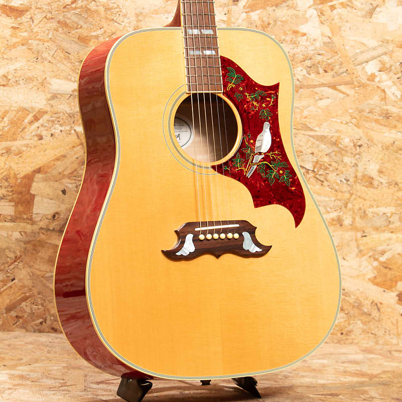 Gibson Dove AN 2010 image 1
