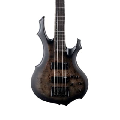 ESP LTD F-5 Ebony Burl Poplar 5-String Bass - Charcoal Burst Satin image 3