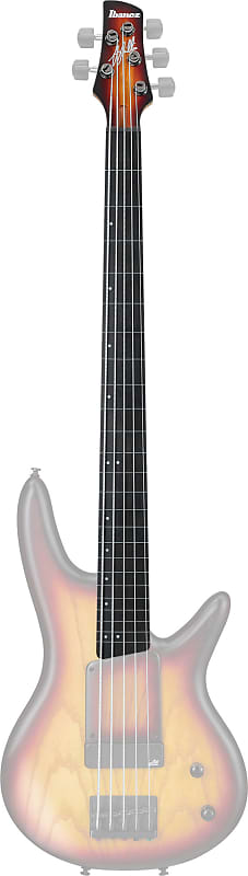 Ibanez 1NK1PC0463TQF Neck for GWB20TH-TQF image 1