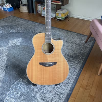 Orangewood Mason Live Limited Edition with Ebony Fretboard 2010s - Natural for sale