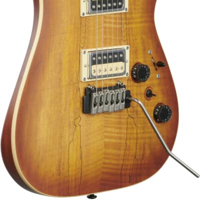 Schecter C-1 Exotic Electric Guitar, Spalted Maple image 4