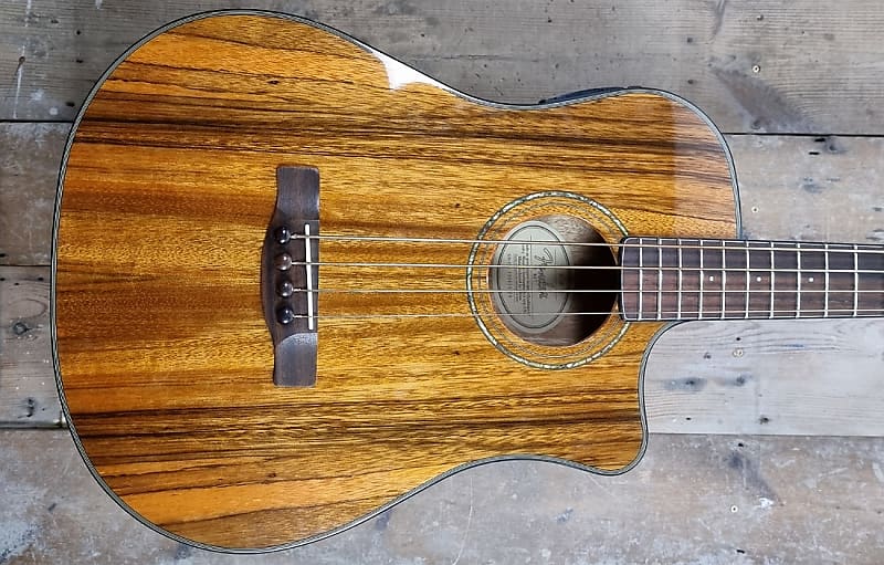 Fender Acoustic Victor Bailey Signature image 1