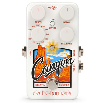 Electro-Harmonix Canyon Delay & Looper image 1