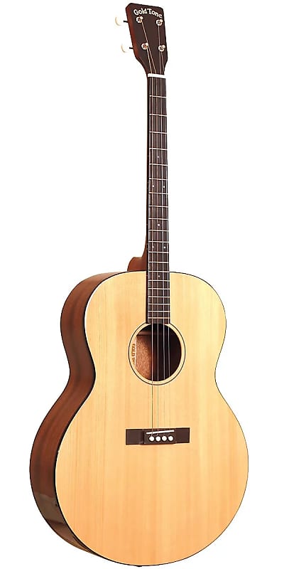 Gold Tone TG-18 Mahogany Neck 4-String Acoustic Tenor Guitar w/Vintage Design & Hard Case image 1