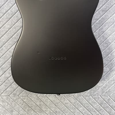 Harley Benton TE-20HH SkunkWerx Best Seller FretWerx In USA Fret Dress and Setup Included! Satin Black image 10