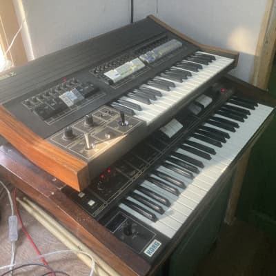 Korg Sigma 1977 - Wood