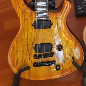 Menapia Monroe#9 with Handmade Chambered Body PRS style image 1