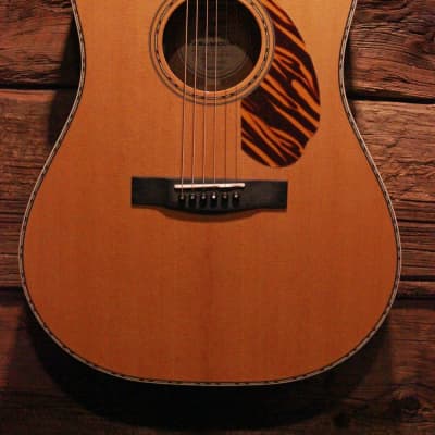 Fender PD-220E Dreadnought Acoustic-electric Guitar, Natural w/ Case - Free shipping lower 48 USA! image 2