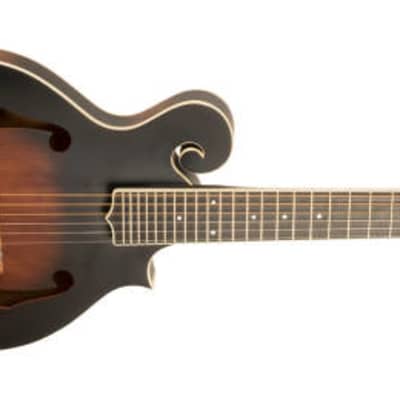 NEW Gold Tone F-6 Manditar WITH Matching Light Hard Case- 6 String Mandolin image 1