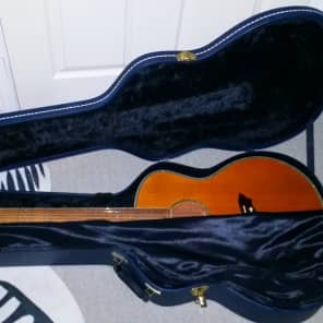 Washburn wg4s deals