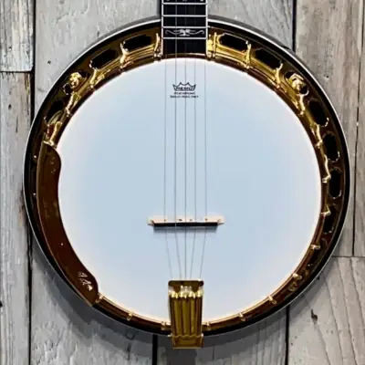 Washburn B17 Americana Series (5 String) Banjo. Tobacco Sunburst image 2