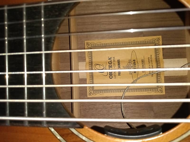 Ortega Nylon String Guitar R189SN-25TH w/Bag