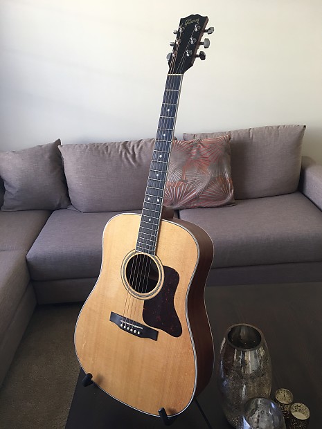 Gibson DSM Natural