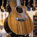Taylor PS14ce Grand Auditorium Honduran Rosewood/Sinker Rosewood Acoustic/Electric w/Deluxe Hardshell Case