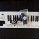 Roland AX-09 Lucina Keytar bundle with cable, power supply, strap: All you need to take the stage