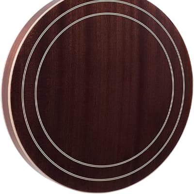 Recording King Songster Resonator Banjo RK-R20  5-String Tone Ring Closed Back image 5