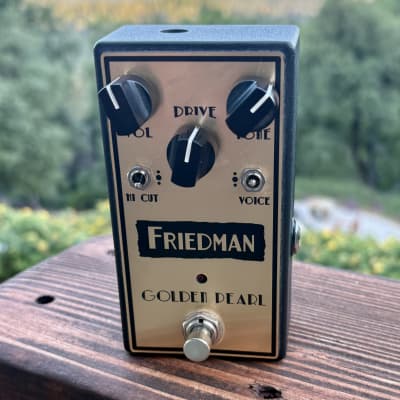 Reverb.com listing, price, conditions, and images for friedman-golden-pearl