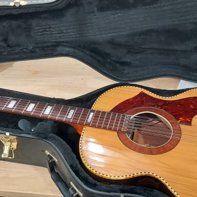 Arnold Hoyer 12 String Acoustic Electric Guitar 1960's 1970's image 2