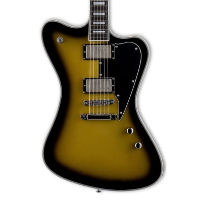 ESP LTD Sparrowhawk Bill Kelliher Signature Guitar - Vintage Silver Sunburst image 3