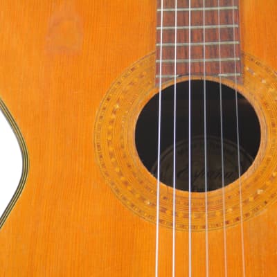 Espana Harp Guitar 1960's - extraordinary guitar made in Finland - with special look and sound! image 3