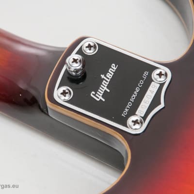 Guyatone SG 25T Julien / Yamaha SA 30 Rare late 60's Hollow Body image 8