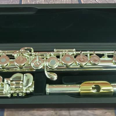 Pearl Quantz Vigore Flute 665 Series Open Hole/B Foot/Split E/C# Trill/D# Roller/3K Gold Lip 2-Day | WorldShip | Authorized Dealer image 1