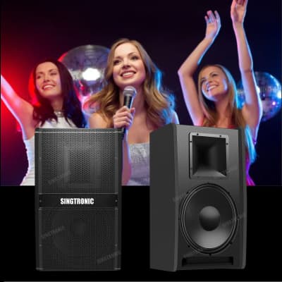 Singtronic Professional 3000W Vocalist Karaoke Speakers (Pair) image 2