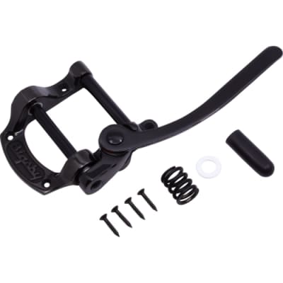 BIGSBY B5 FENDER LOGO VIBRATO KIT | Reverb Canada