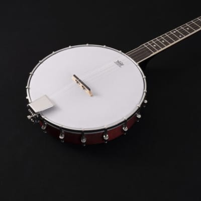 Washburn B7 | Open-Back 5-String Banjo. New with Full Warranty! image 16