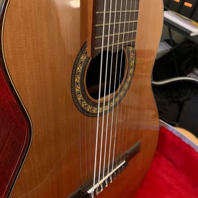 Daniel Mendes Eight String Guitar 2018 Cedar / Brazilian Rosewood image 8