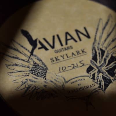 Avian Skylark Standard image 3