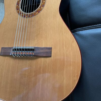 Rich DiCarlo 8 String Classical Guitar 2006 French Polish image 18