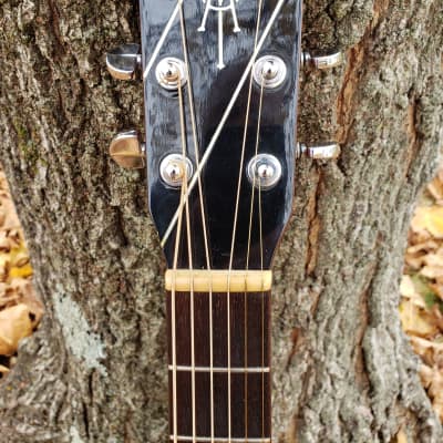 Alvarez Yairi  DY-40SB Acoustic Electric Guitar w/Hard Case image 3