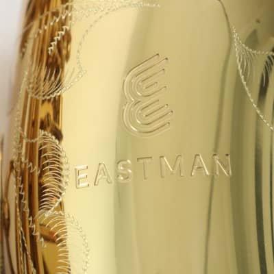 Eastman Model EAS850 Professional Alto Saxophone 'Rue Saint-Georges' GORGEOUS image 3